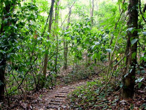 Cabo Blanco Guided Hike Costa Rica